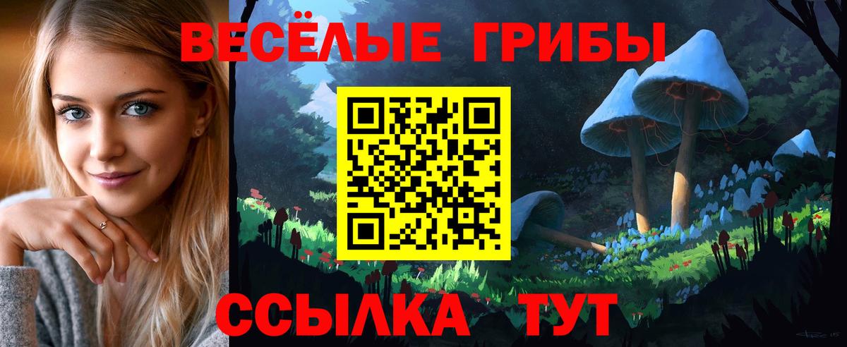 Асбест  Галлюциногенные грибы Psilocybe  Вход с VPN 